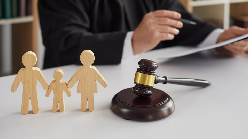 Collection of alimony from an unemployed person abroad - assistance from a lawyer "MАКСИМ" - consultant.net.ua