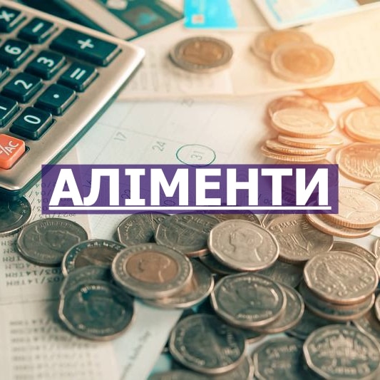 Процедура стягнення аліментів за законодавством України - consultant.net.ua