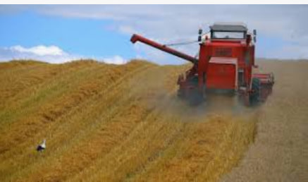 Legal aspects of conducting agricultural activities as an individual entrepreneur in Poland - consultant.net.ua