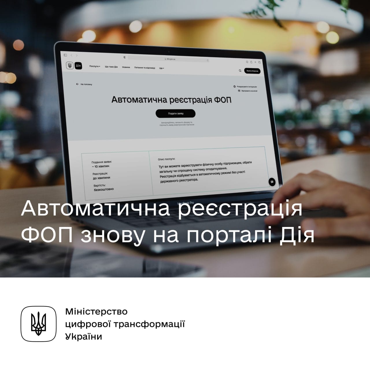 Лоліта Registration of an individual entrepreneur - how to register a business correctly? - consultant.net.ua