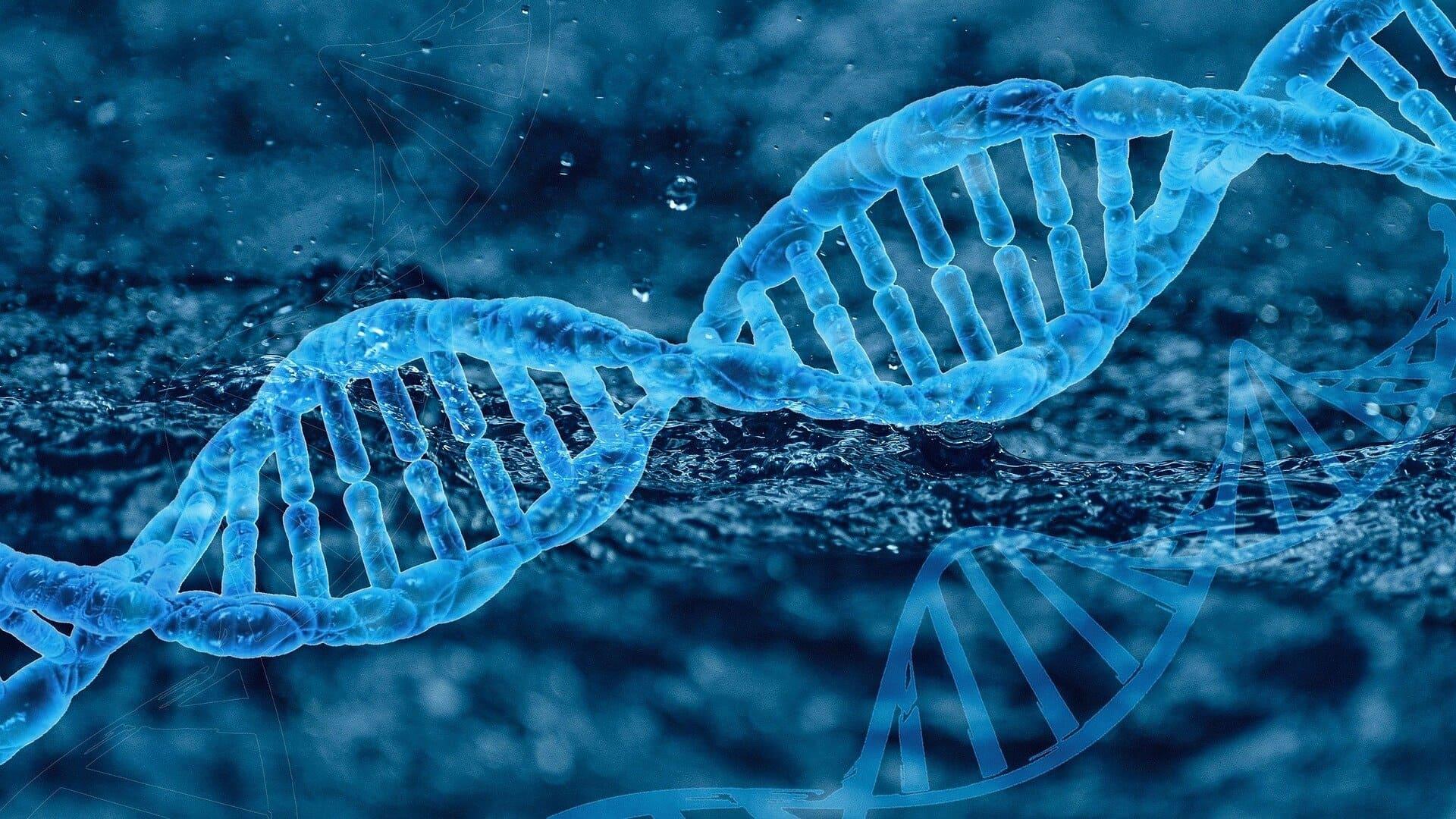 Legal aspects of genetic modification and biotechnology - consultant.net.ua