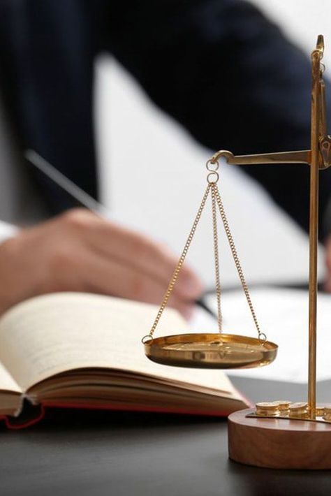ДК Грант на садівництво: допомога у залученні фінансування - consultant.net.ua