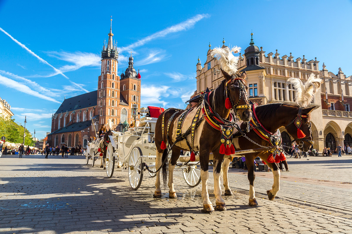 ДК Pole's card: benefits and procedure for obtaining it for Ukrainians - consultant.net.ua