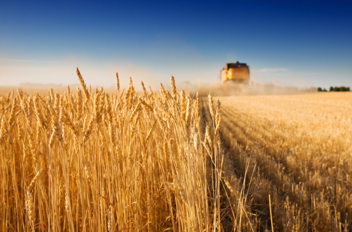 Basic subsidies in the agricultural sector - consultant.net.ua