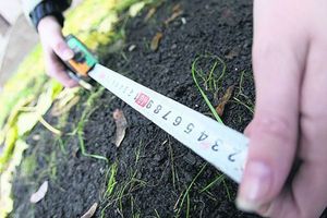 Violations of neighborly rules: how to protect your rights - consultant.net.ua