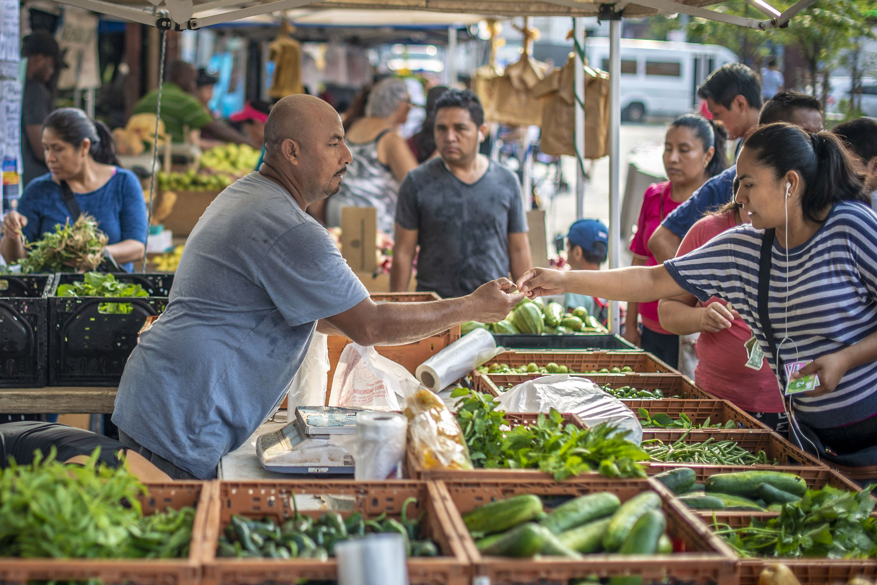 Legal nuances of organizing a weekend farmer's market - consultant.net.ua