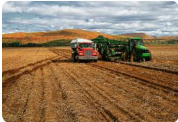 Opportunities for agricultural business in Poland: support and regulation - consultant.net.ua