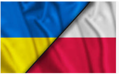 Public service system: comparing efficiency in Poland and Ukraine - consultant.net.ua