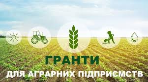 Лоліта НА ВИДАЛЕННЯ Гранти для аграріїв - consultant.net.ua