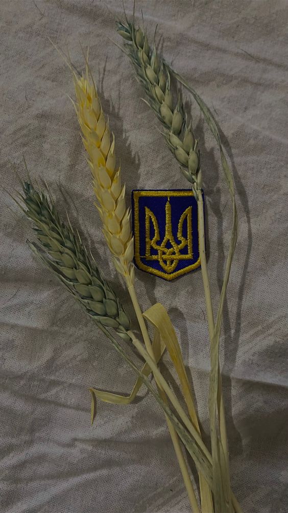 Порядок отримання ліцензії на надання комунальних послуг - consultant.net.ua
