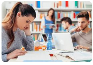 Vocational training in Poland: programs and employment prospects - consultant.net.ua