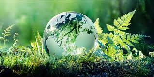 Legal support on environmental issues - consultant.net.ua