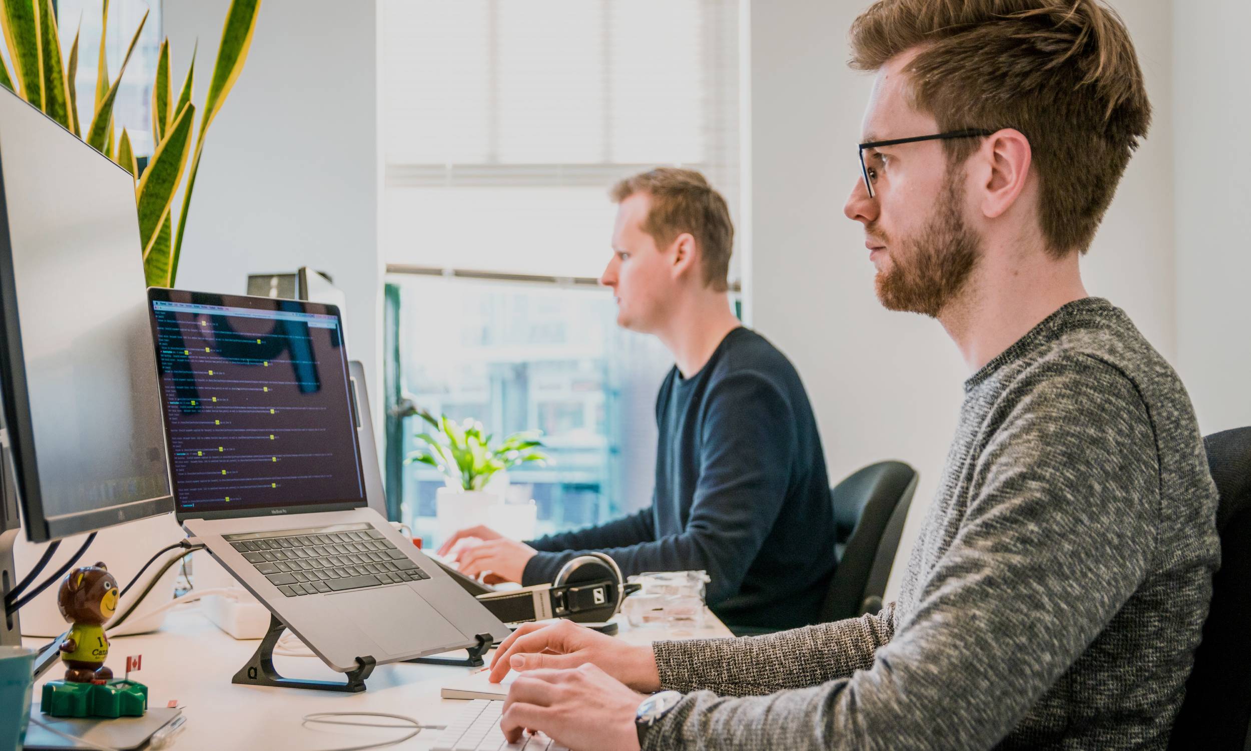 The most important steps in establishing an IT-company in Ukraine - consultant.net.ua