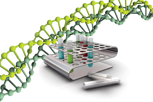 Disputing paternity. DNA - examination. - consultant.net.ua