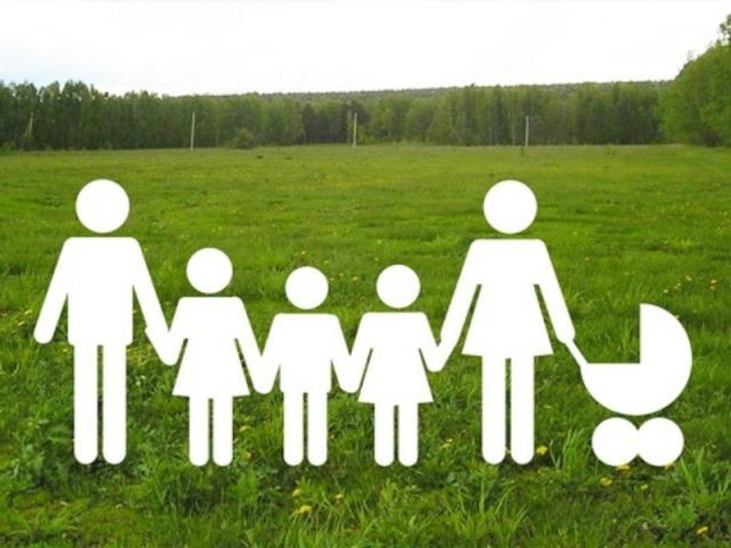 Assistance to large families in Ukraine: features and prospects - consultant.net.ua