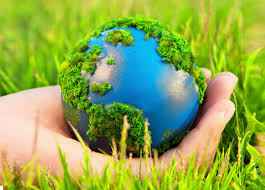 Legal support on environmental issues - consultant.net.ua