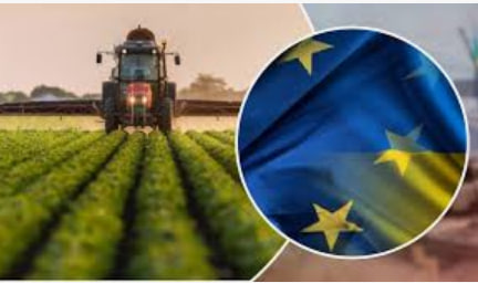 Як українським фермерам отримати допомогу від ЄС? - consultant.net.ua
