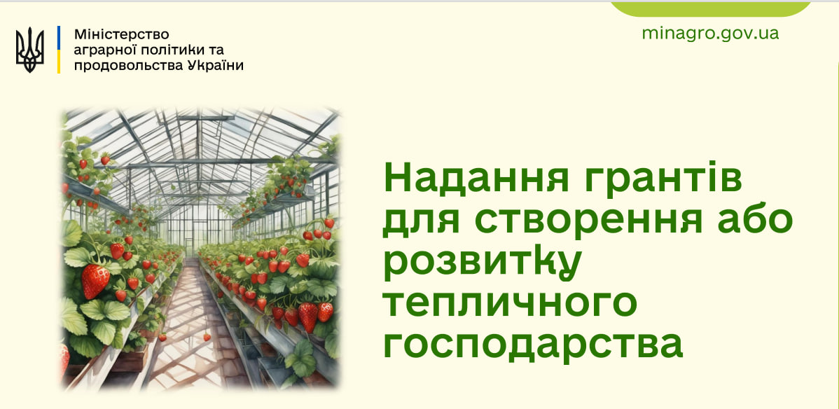 Issue a grant for a greenhouse: where to start? - consultant.net.ua