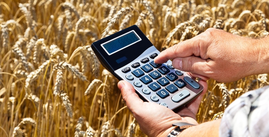 How to get a grant for the development of agriculture - consultant.net.ua