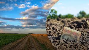 Who has the right not to pay land tax - consultant.net.ua