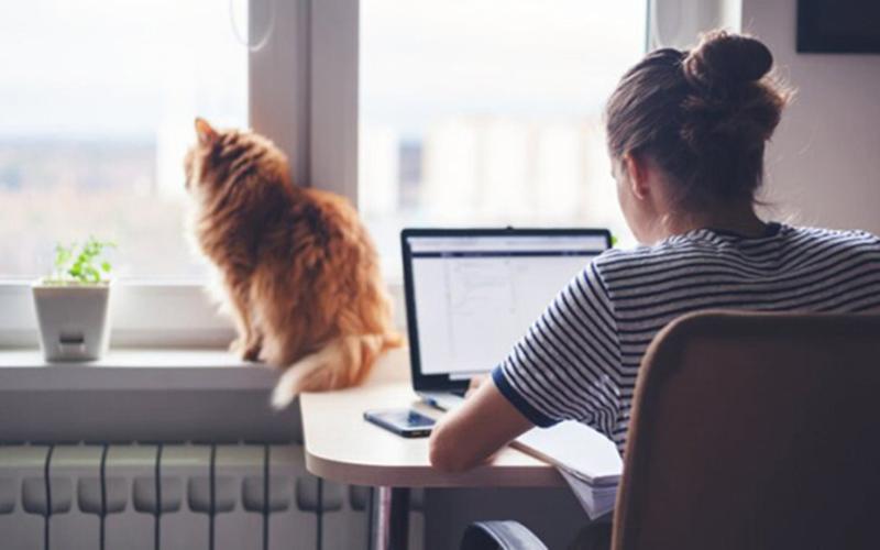 Legislative regulation of remote work and the rights of remote workers. - consultant.net.ua