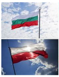Получение идентификационного номера: сравнение процедур в Польше и Болгарии - consultant.net.ua