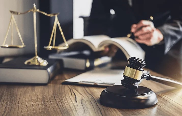 "Лоліта"How to protect your rights when appealing against the MEC and achieve justice - consultant.net.ua