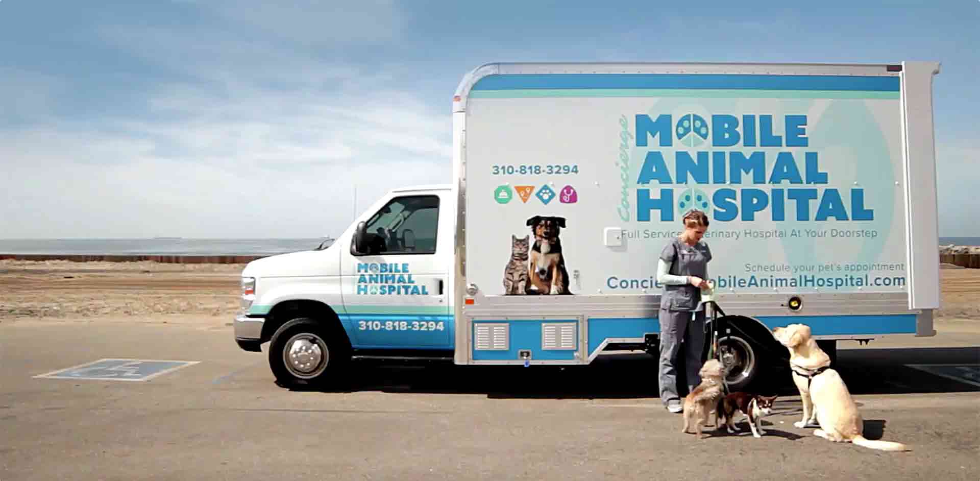 Legal aspects of organizing a mobile veterinary clinic - consultant.net.ua