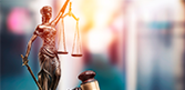 Appeal against the judgement on debt recovery